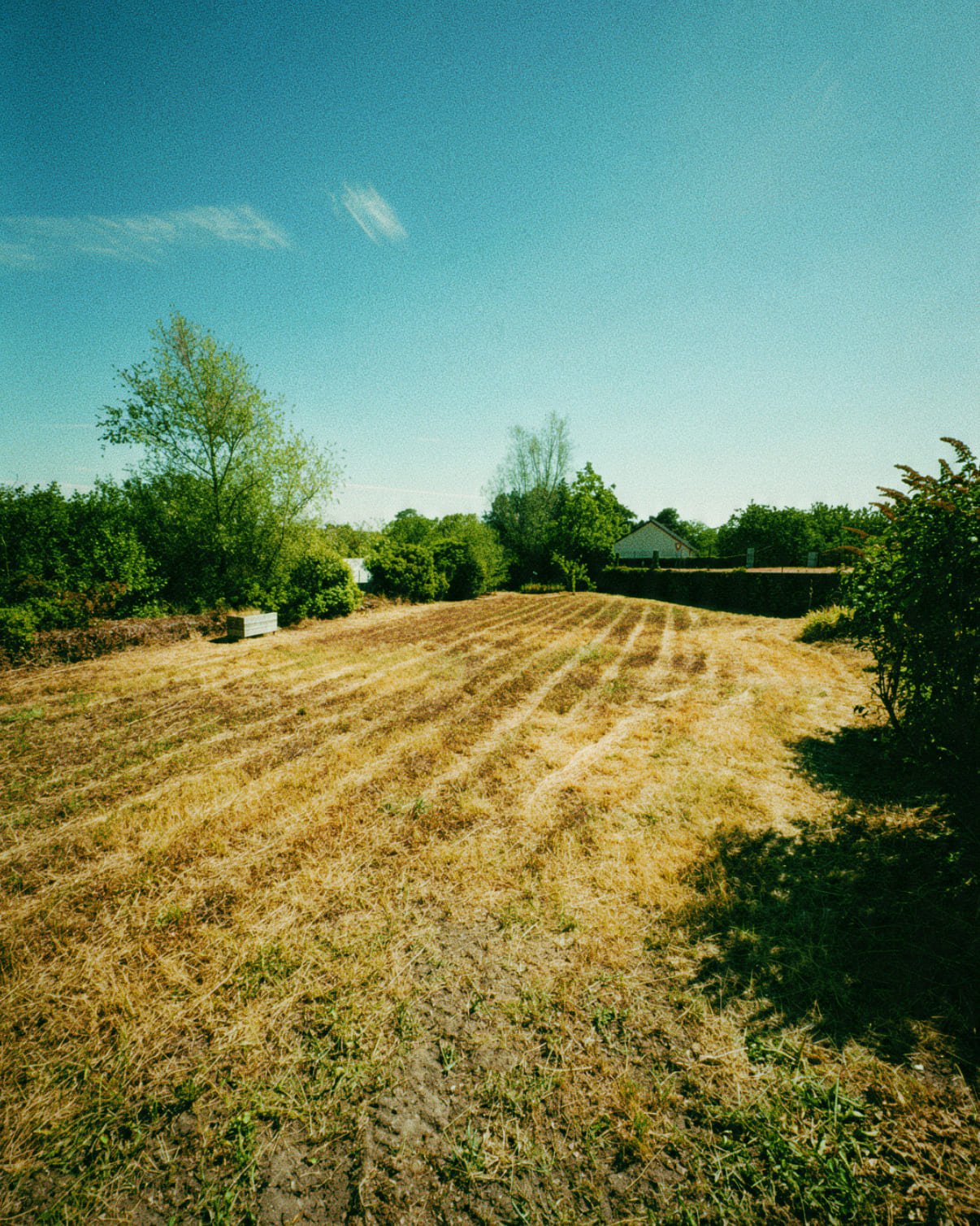  TD Paysage | Réalisation Bourbon l'Archambault